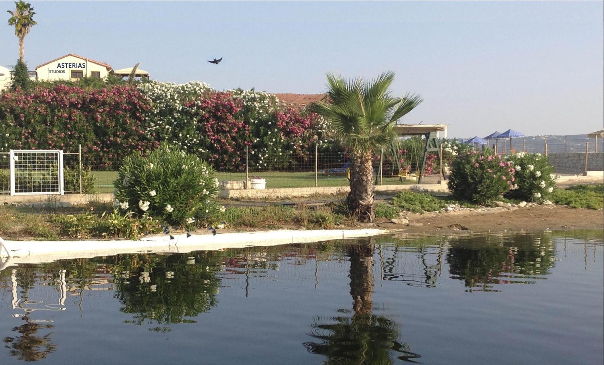 Asterias Studios & Apartments Kalyves Exterior foto