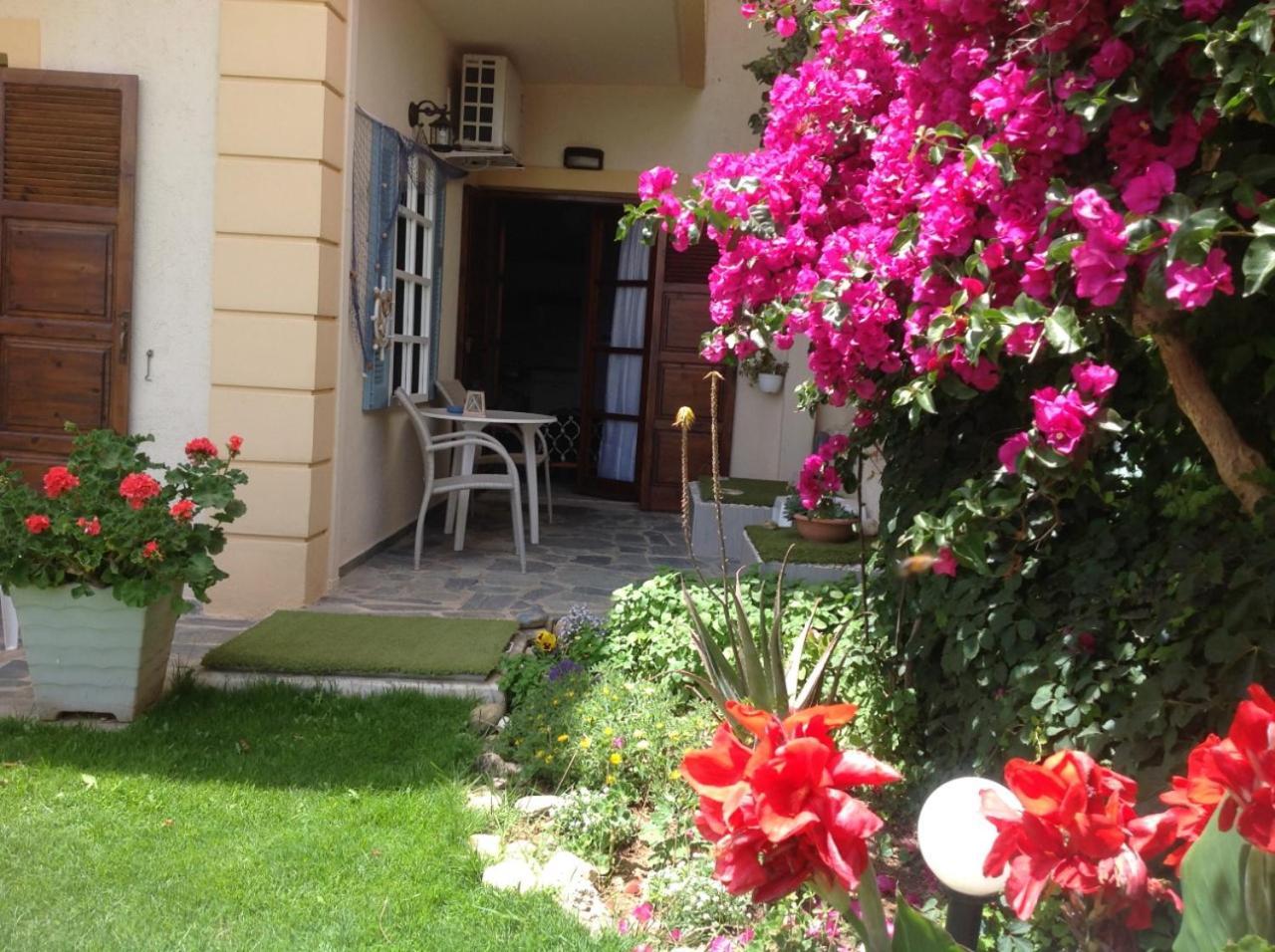 Asterias Studios & Apartments Kalyves Exterior foto